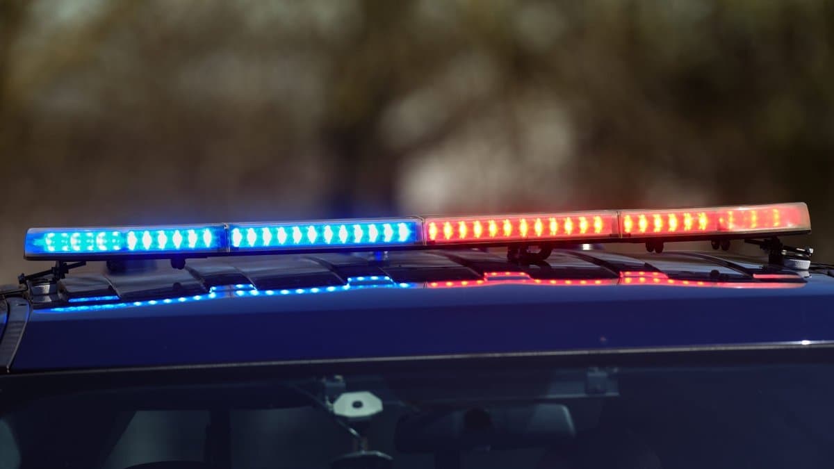 Human Remains Found in Darien Backyard, Identification Under Way