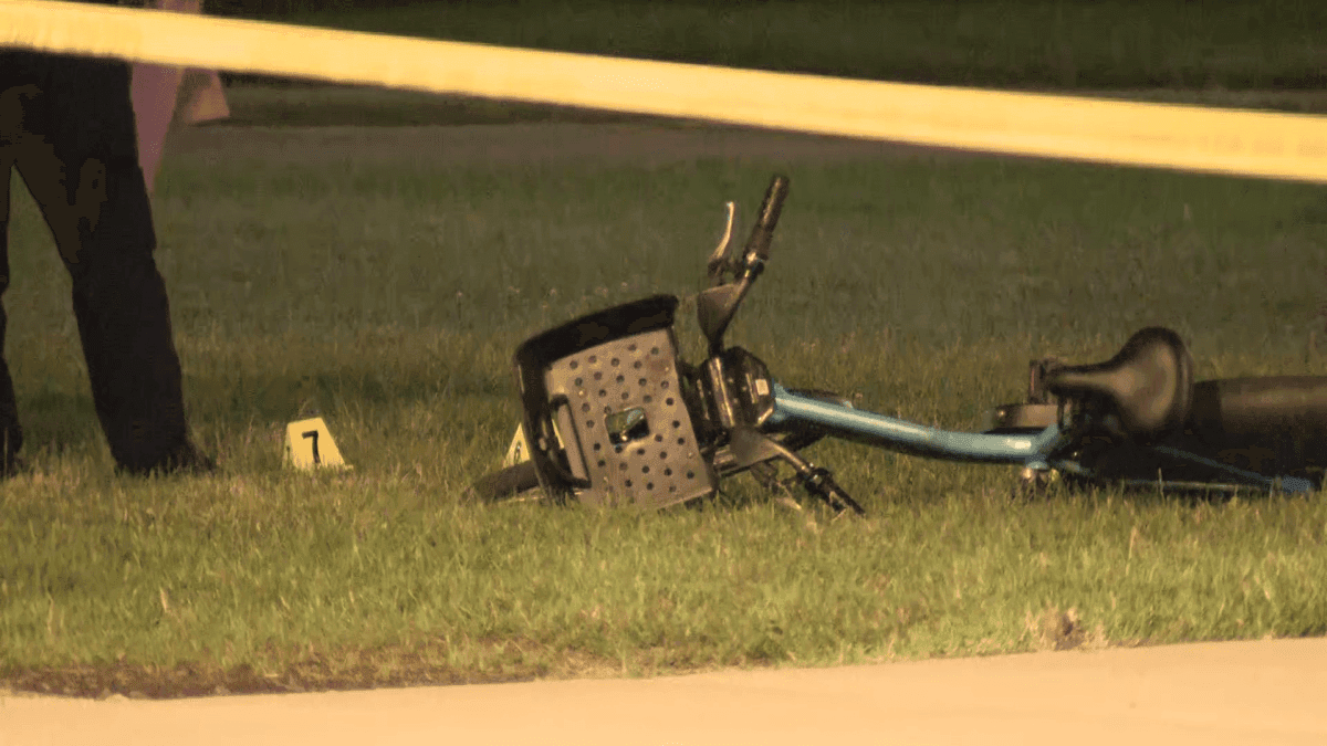 Oak Park Teen Charged with Murder in Fatal Divvy Bike Shooting at Grant Park